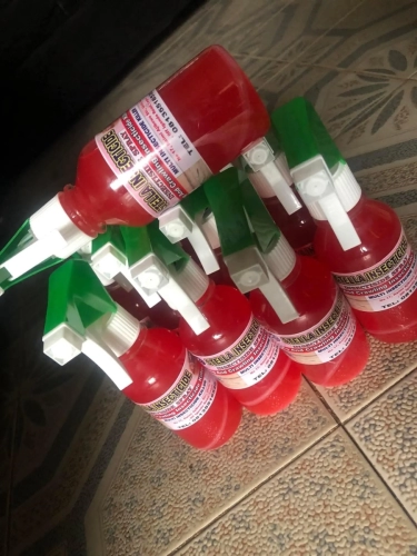 Eunistar Nigerian women and children charity outreach gallery image